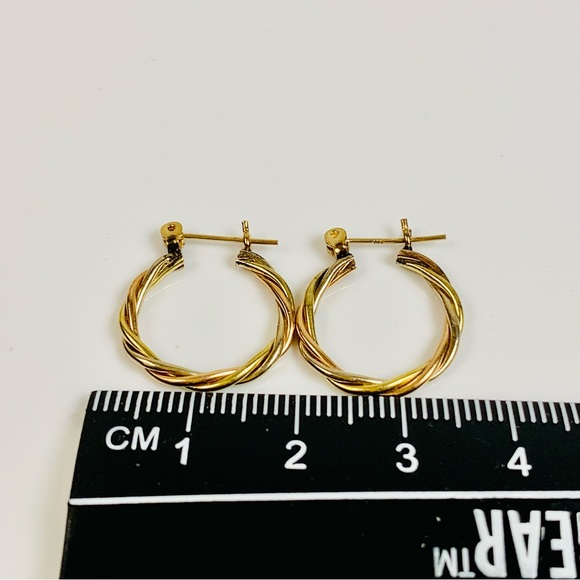 14K Tri-Color Small Twisted Hoop Earrings - Picture 12 of 12